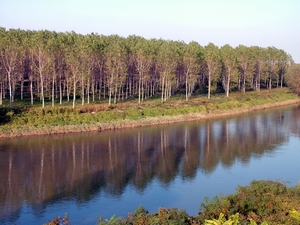 Il territorio di Mantova